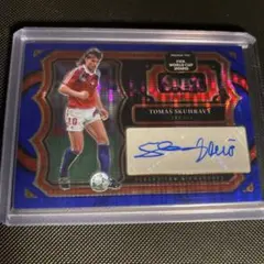 PANINI PRIZM PETR CECH チェフ 直筆サイン Choice - メルカリ