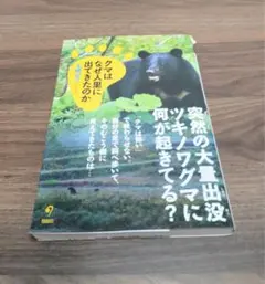 クマはなぜ人里に出てきたのか 永幡嘉之［初版・帯付き】