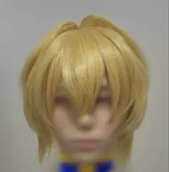 HUNTER×HUNTER クラピカ ウィッグ コスプレ セット済 - メルカリ