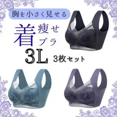 大きいサイズ　ノンワイヤー　着痩　ブラ レース　シームレス　3L XXXLセット