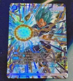 2026年最新】ベジータ sr パラレル psa10の人気アイテム - メルカリ