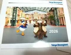ドナルド　チップとデール スペフォ　スペシャルフォト 東京ディズニーランド202