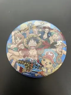 ワンピース　ラグナシア　ラグーナテンボス限定　ドでか缶バッジ
