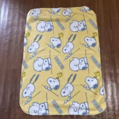 毛布 キャラクターグッズ