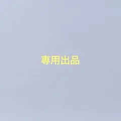 専用出品　2点