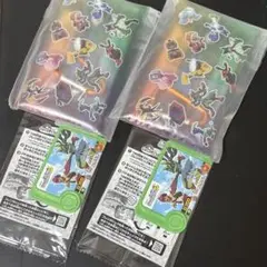 ポケモン　メガ　スタンプラリー　2025 ルカリオ　フレンダ