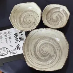 伊賀焼き 大鉢 どんぶり鉢 うどん鉢 5個セット 渦巻き模様 - メルカリ