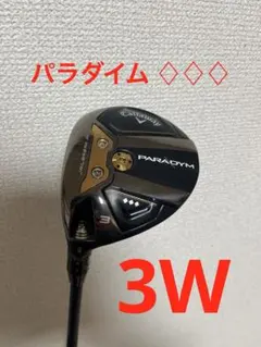 2025年最新】パラダイム 3w レフティの人気アイテム - メルカリ