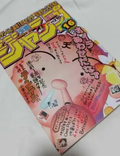 週刊少年ジャンプ1999年31号 ONE PIECEワンピースセンターカラーナミ