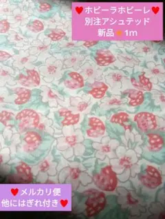 ❇リバティタナローン❇アシュテッド❇ホビーラホビーレ別注♡完売品