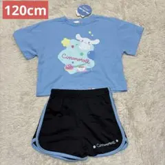 シナモロール シナモン 半袖Tシャツ ハーフパンツ セットアップ 2点セット