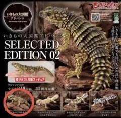 2026年最新】いきもの大図鑑アドバンス アルマジロトカゲの人気
