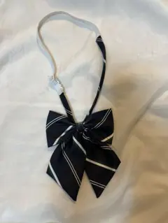 Item thumbnail for item 90b3986d-d32e-4101-908d-03678fbf9dcb