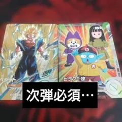 sdva-002 ベジット