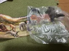 ⑤コモドドラゴン