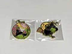 WICKED ウィキッド メタルチャームコレクション 2つセット - メルカリ