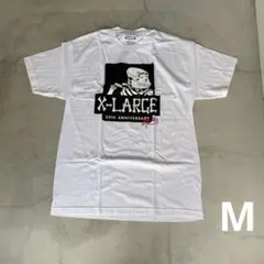 Item thumbnail for item 5bf32bbd-30e6-4bcd-b1a4-91623533cf0c