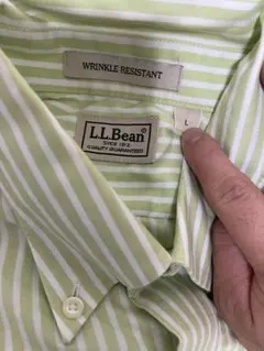 L.L.Bean ストライプシャツ 長袖 Lサイズのサムネイル
