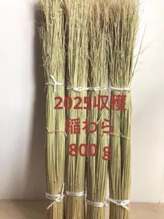 (New! 2025収穫) 稲わら800 g 【家庭菜園、正月飾り花材に最適】