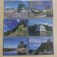 日本100名城 続100名城 共通公式 カードホルダー - メルカリ