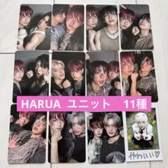 &TEAM HARUA ハルアユニット　トレカ