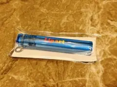資生堂 ディグる？ 銀座ソニーパーク 非売品 ルームキー キーホルダー