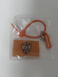 清水エスパルス マルチチャーム