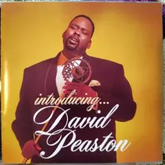 DAVID PEASTON ★ R&B AOR g-rap ヒップホップ