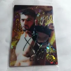 RIZINウエハースカード　ホベルトサトシソウザ