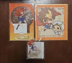 REBORN くじ引き堂　沢田綱吉アクスタ　色紙　ボールチェーン付きミニアクスタ