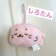 しろたん マスコット ぬいぐるみ ストラップ プチマスコット
