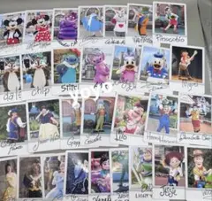 東京ディズニーリゾート コレクションカード 全30種コンプリートセット