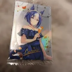 ウマ娘 ウエハース　カード　R 2025　WSR2-09　シーザリオ ドレスレア