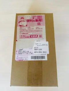 ポケモンセンター ヒロシマ スペシャルBOX 新品未開封