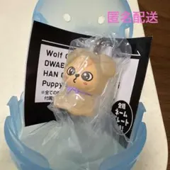 skzoo めじるしアクセサリー パピーム