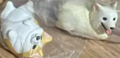 アニマルアトラクション　こぎさんぽ　コーギー　ホワイト　フォーン