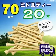 Item thumbnail for item 34719609-79ad-4baf-972a-33aab0e83e93