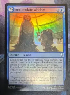 積み重ねられた叡智/Accumulate Wisdom　Foil