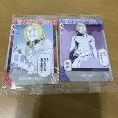 鋼錬２枚セット