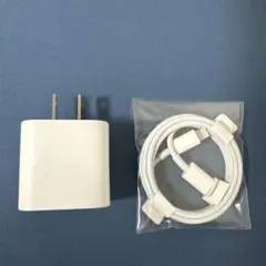 Apple純正20W USB-C電源アダプタ Lightning