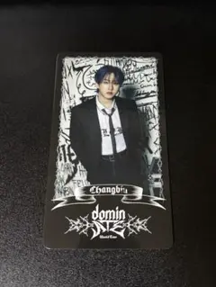 Stray Kids スキズ ソウルコン スペシャルトレカ チャンビン