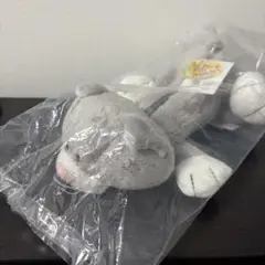 NICI 筆箱 ネコ 【新品未使用】