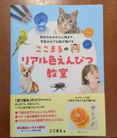 アイママ様 リクエスト 2点 まとめ商品
