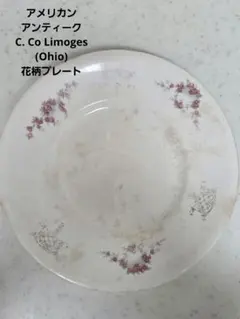アメリカン　アンティークC. Co Limoges (Ohio) 花柄プレートのサムネイル