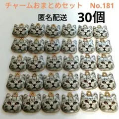 チェコビーズセット No.393 猫の顔 - メルカリ