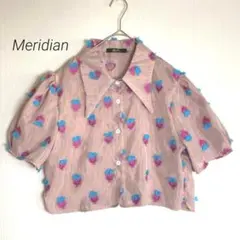 Meridian【美品】フラワー立体刺繍　パフスリーブシアーブラウス　ピンクのサムネイル