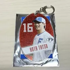 ファイターズ ラメグリッターキーホルダー 達孝太