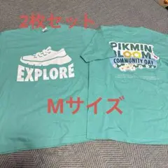 ⭐︎最大値下げ⭐︎ ピクミン　ピクミンブルーム　Tシャツ　レア　トップス　Lサイズ 2025年最新】ピクミンブルーム tシャツの人気アイテム - メルカリ