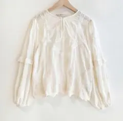 最終値下げ✨ZARA BASIC ザラ レディース 長袖 レース ブラウス 刺繍のサムネイル