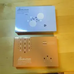 千趣会 Beads & beads ビーズアクセサリー手作りキット★2種セット